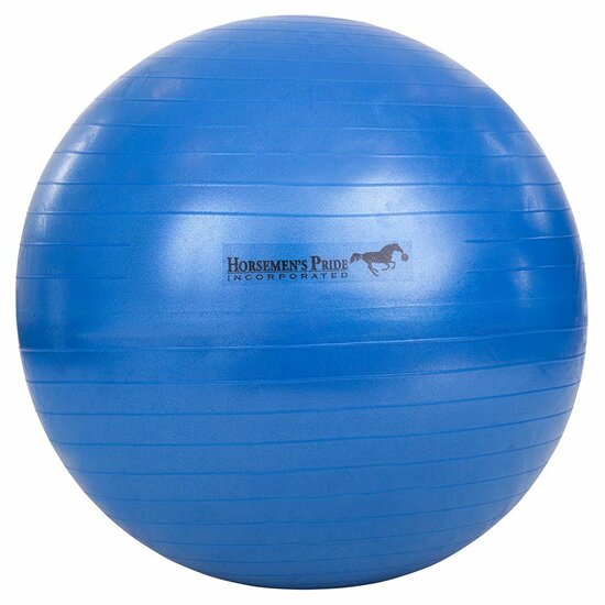 Horzel biologie overtuigen Speelbal Jolly Mega Ball 30'' (76cm)