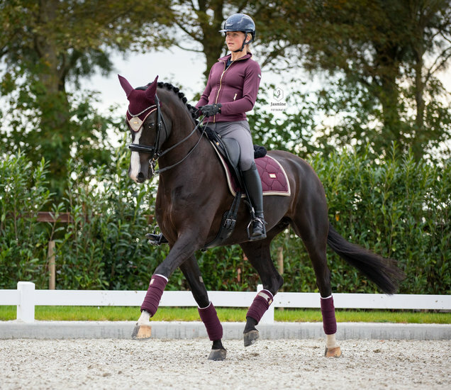 alleen bericht palm Equestrian Stockholm Crystal Merlot dressuur zadeldek