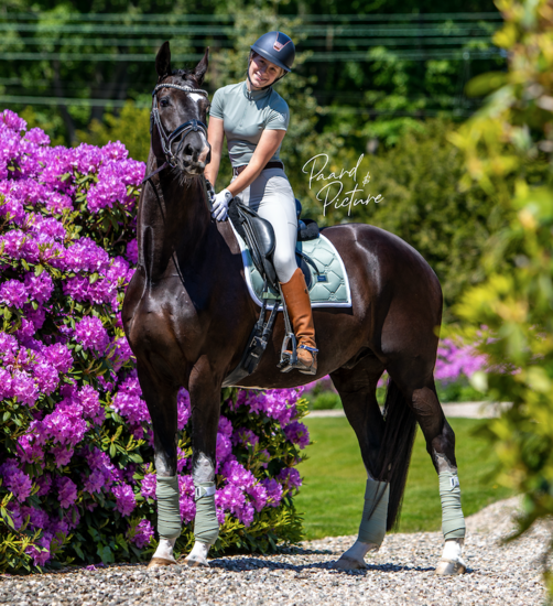 Equestrian Stockholm pistachio White  Dressuur 