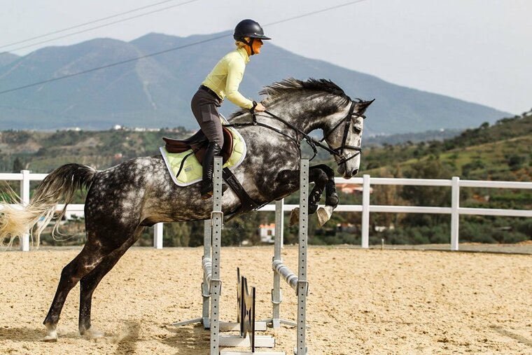  Equestrian Stockholm JUMP saddle pad Soft Lemon