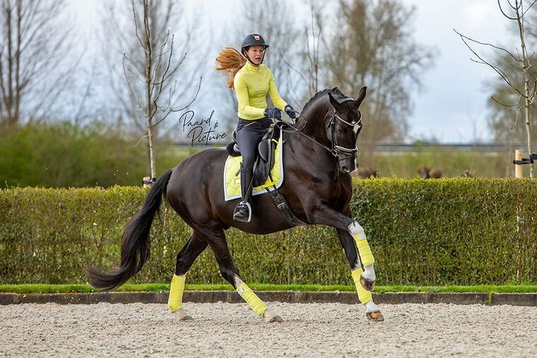 Equestrian Stockholm Soft Lemon zadelpad dressuur 