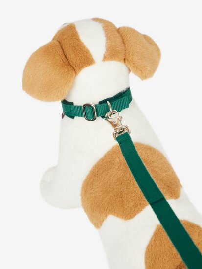 Le Mieux Toy Dog halsband met lijn Evergreen