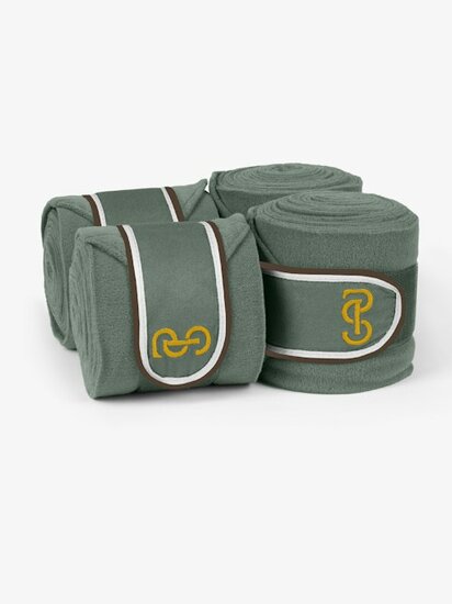 Ps of Sweden bandages Tortoise Green