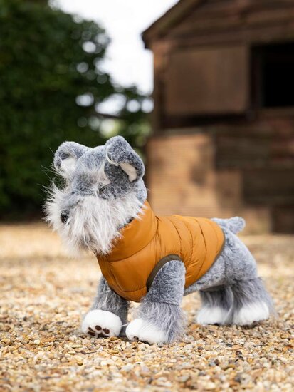 Le Mieux Toy Dog Puppy (Schnauzer) Cooper