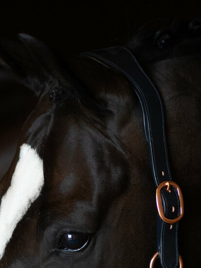  Equestrian Stockholm anatomisch LEREN GLIMMER Halster Dark Ocean