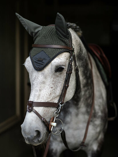  Equestrian Stockholm  oornetje  Avenue Green