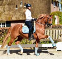 Equestrian Stockholm zadeldek dressuur Steel Blue