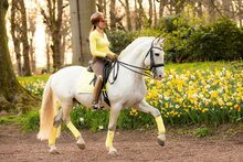 Equestrian Stockholm Soft Lemon zadelpad dressuur 