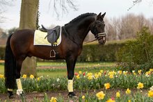 Equestrian Stockholm Soft Lemon zadelpad dressuur 