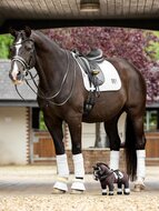 Le Mieux toy pony knuffel Valegro