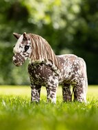 Le Mieux toy pony Montana