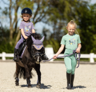 BR Mini Horse oornetje Cadet paars  maat pony