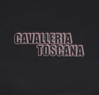 Cavalleria Toscana Comic Book Fleece deken Zwart met roze